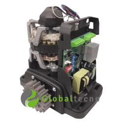 rossi dz4 nitro 2