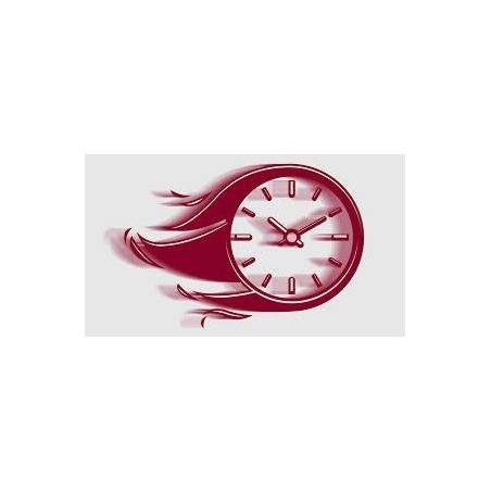 Faac 844 Rápido 18 mt/min - Z 28 - 900 kg - Motor con Central