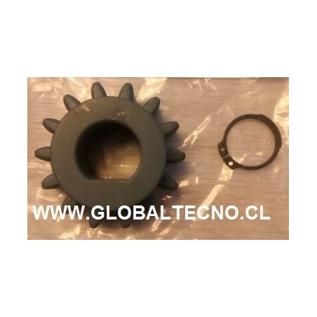 Piñón motor Bft Z14 - 14 DIENTES -seguro seagers -  Italiano Bft